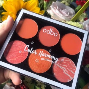 Má hồng Obdo mới