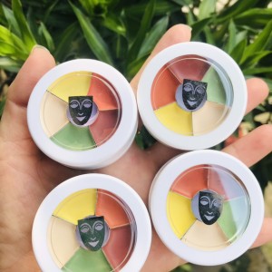 Che khuyết điểm triệt sắc Kryolan dạng ô nhỏ 6 ô màu che mọi khuyết điểm